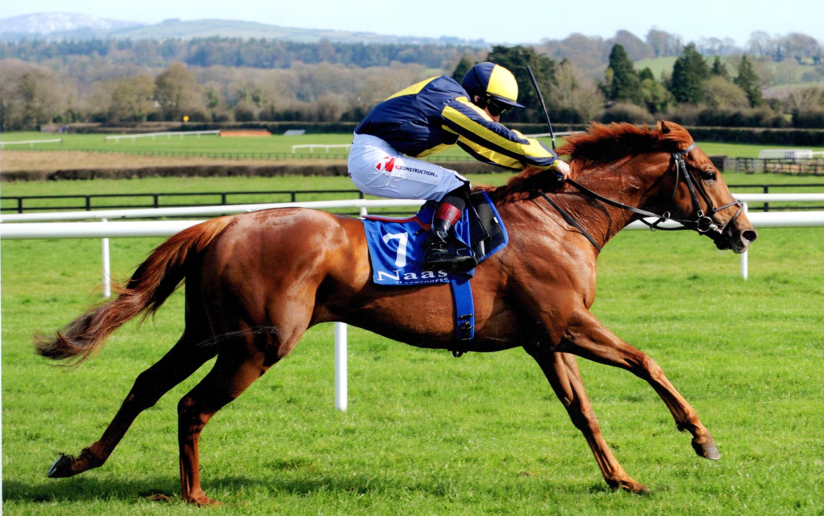GYMKHANA gets the turf season off to a flying start for the team at Naas 26th March 2017